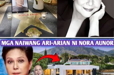 GAANO LANG YAMAN SI NORA AUNOR? Inihayag ang Napakalaking Estate ng Superstar—Isang Pangwakas na Regalo sa Kanyang Pamilya at Legacy