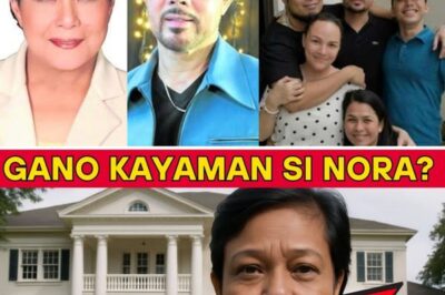 The Hidden Wealth of Nora Aunor: A Mansion in Bicol, Vast Lands, and a Secret Vault of Riches—What the Superstar Quietly Left Behind/NH