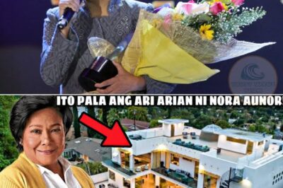 So it’s them! The HEIR of Nora Aunor | This is their property! Wow, they’re incredibly wealthy! (DG)