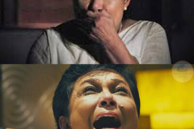 Fans shocked when Nora Aunor revealed the identities of the people who ruined her life… /đh