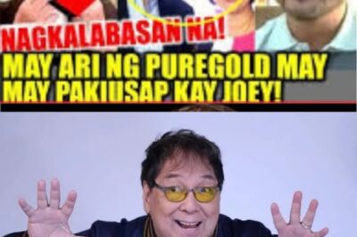 Owner ng Puregold, Agad na Tinawagan si Joey de Leon upang Linawin ang Natitirang Kontrata ng Eat Bulaga! Anong mga Sekreto ang Nakatago? (NH)