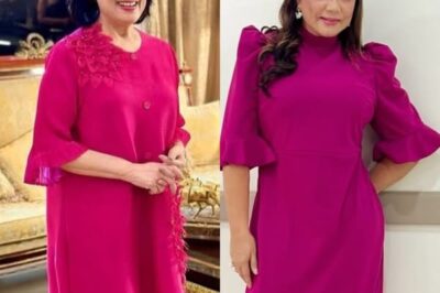 Sa wakas, Binasag ni Coney Reyes ang Kanyang Katahimikan sa Nakakahiyang Pag-aaway ni Dina Bonnevie: “Huwag Natin Hukayin ang Nakaraan!” – Naiwang Hindi Nakapagsalita ang Mga Tagahanga Matapos Marinig ang Nakakagulat na Pagbubunyag… /lo