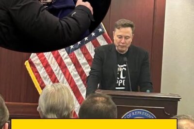 Reacția furioasă a lui Elon Musk după respingerea candidaturii lui Călin Georgescu (NG)