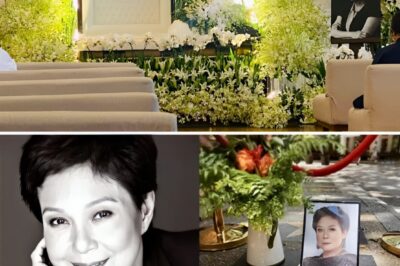 SHOCKING LIST REVEALED: Mga Sikat na Hindi Dumalo sa Burol ni Nora Aunor – Ang Panghuling Pangalan, LUBOS na NAKAGULAT! /đh