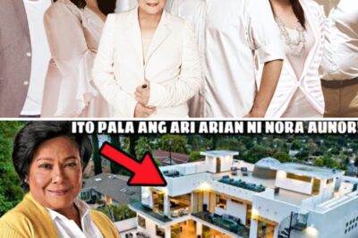 SHOCKING: Descendants of Nora Aunor Discover Treasure Beneath Her Mansion — What Is the Truth Behind This Treasure? /đh