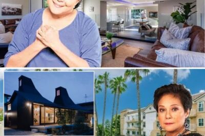 The Hidden Wealth of Nora Aunor: A Mansion in Bicol, Vast Lands, and a Secret Vault of Riches—What the Superstar Quietly Left Behind /đh