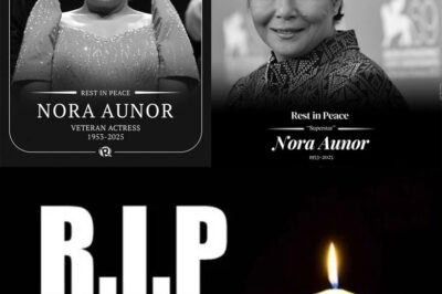 NAKADUDUROG NG PUSO! 😭 Superstar Nora Aunor PUMANAW NA sa Edad 71 – Buong Pilipinas NAGLULUKSA sa Pagpanaw ng Isang ALAMAT! /dg