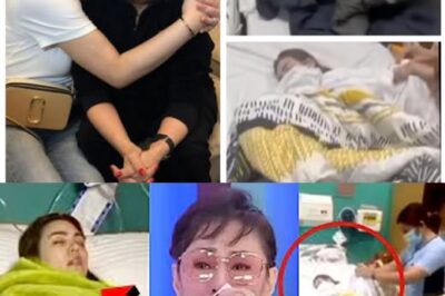 “NAKAKA-SHOCK! CLAUDINE BARRETTO, NAKAKA-AWA ang SINAPIT — VILMA SANTOS Napaiyak sa Kalagayan Niya! 😱💔” /dg