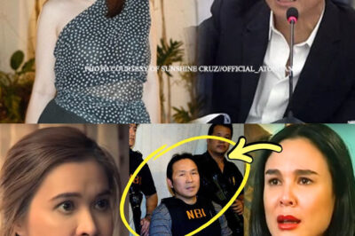 🔥KASO NI ATONG ANG, NADAWIT SA ILLEGAL NA GAWAIN, IBINUKO NI GRETCHEN! SUNSHINE CRUZ HULI DIN! 🔴 (DG)