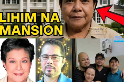 The Hidden Wealth of Nora Aunor: A Mansion in Bicol, Vast Lands, and a Secret Vault of Riches—What the Superstar Quietly Left Behind (NG)