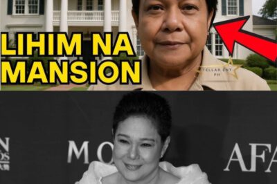 Tagong Yaman ni Nora Aunor: Mansyon sa Bicol, Lupain, at Vault ng Kayamanan! (NH)
