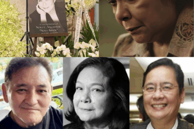  Nora Aunor’s Ex-Husbands Had to Admit This… The Truth They Could No Longer Hide /ddh