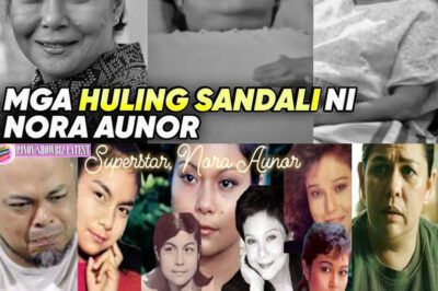 Nora Aunor Tila Nagpapahiwatig na bago pa man Pumanaw! Narito ang kanyang mga naging pahayag! (NG)