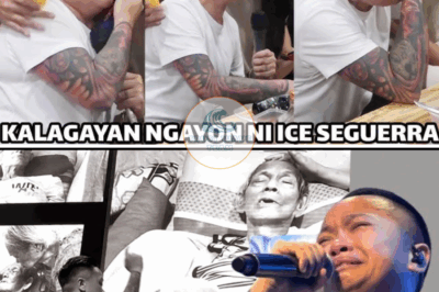 Iyak Ng Iyak! Marami Nag-Alala Sa Nangyari Kay Ice Seguerra