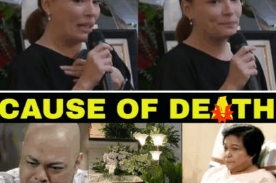 JUST IN: Nora Aunor’s Cause of Death REVEALED — Iconic Superstar Passes Away at Age 71! /lo