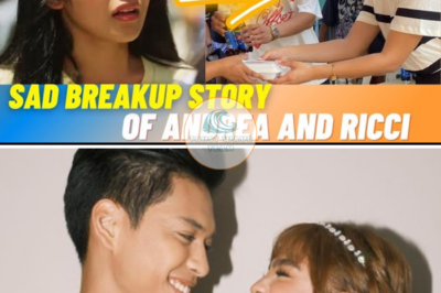 Andrea Brillantes, Aminadong Hindi Pa Natatanggap Nang Buo Ang Nangyaring Hiwalayan Kanila Ni Ricci Rivero!….