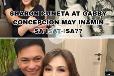 Sharon Cuneta reveals she was supposed to have another show with Gabby Concepcion but it did not push through