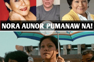 Nora Aunor cause of death: How did Filipino film superstar and politician die?