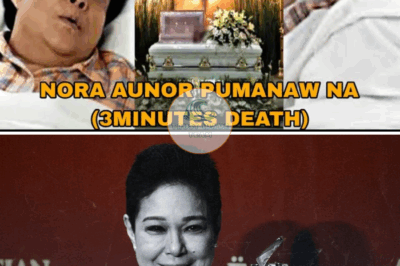 GUMUHO ANG LAHAT! Nora Aunor, BAGO PUMANAW, IBINUNYAG ang MGA TAONG SUMIRA sa BUHAY NIYA – Mga PANGALANG IKINAGULAT ng buong industriya! 