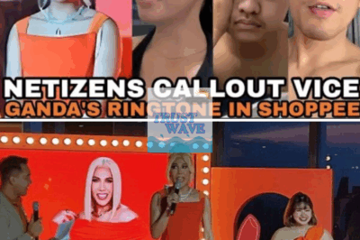 Vice Ganda Pinatatanggal Na Ng Shopee Users Bilang Endorser Dahil Sa Ringtone Nito!