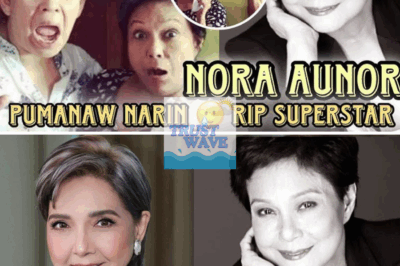 Chanda Romero recounts funny encounter with Nora Aunor