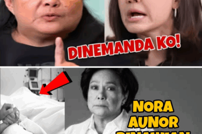 SHOCK: Fans shocked when Nora Aunor revealed the identities of the people who ruined her life…/lo