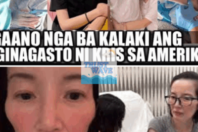Kris Aquino Kailangan Ng Mas Malaking Pera Para Sa Pagpapagamot, Kita Ng Negosyo Hindi Na Sapat