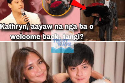 Daniel Padilla, Balak Nga Bang Ligawan Ulit Si Kathryn Bernardo?