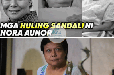REVEALED: Nora Aunor’s Mysterious Health Condition Before Her Sudden Death – What Doctors Didn’t Tell the Public! 