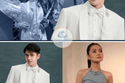 David Licauco Umamin Posibleng Makatuluyan Si Barbie Forteza, Nilinaw Hindi Siya Ang Dahilan Ng Hiwalayan Ng JakBie