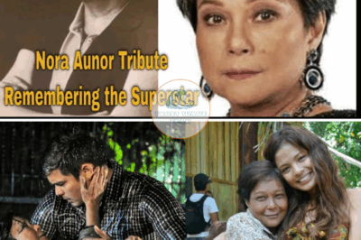 Dingdong, Lovi, Chynna, Rocco remember Superstar Nora Aunor