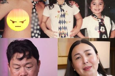 Marjorie Barretto addresses Dennis Padilla’s public accusations, alleges physical abuse (an)