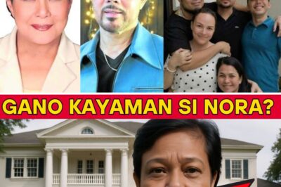 The Hidden Wealth of Nora Aunor: A Mansion in Bicol, Vast Lands, and a Secret Vault of Riches—What the Superstar Quietly Left Behind