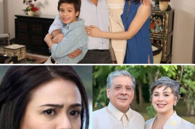 Nakagugulat na Pagbubunyag: Binasag ni Dawn Zulueta ang Katahimikan at Inilantad ang Katotohanan Tungkol sa Kanyang Paghihiwalay kay Anton Lagdameo