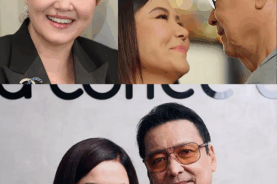 Lorna Tolentino Denies Engagement Rumors with Lito Lapid: What’s Really Going On?