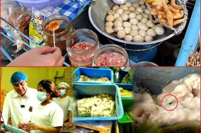 Pabrika ng Kikiam at Squid Balls, May Itinatagong Kadiliman—Binalaan ang Publiko!