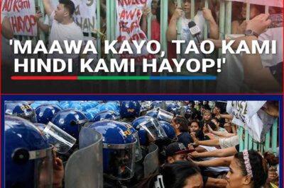 Trahedya sa Tondo😰: 400 Pamilya, Apektado ng Nakakabinging Demolisyon — Paano Sila Makakatakas?