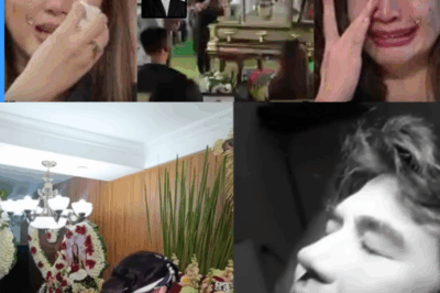Heartbreaking Public Viewing of Luis Manzano: Fans Overwhelmed After His Final Day