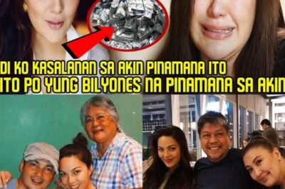 KC Concepcion REVEALS the BILLIONS and PROPERTIES INHERITED by her, which SHARON is trying to divide! (NG)