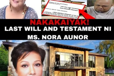 Shocking Revelation: Ian de Leon Named in Nora Aunor’s Will—But One Name Will Leave You Stunned!