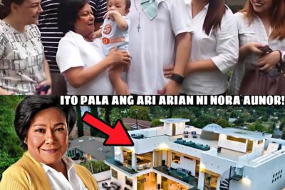 Nora Aunor Leaves Entire Fortune to Ian de Leon — What She Just Revealed Will Break Your Heart!