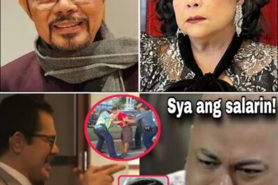 Former Husband of Nora Aunor Reveals Their Secret Child – A Shocking Family Truth Unveiled