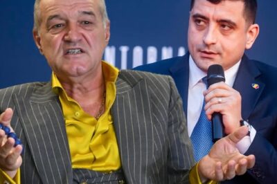Gigi Becali: George Simion mi-a cerut sprijinul încă din martie pentru turul doi cu Nicușor Dan. „Sunt consecvent, e vorba de demnitatea mea” (NG)