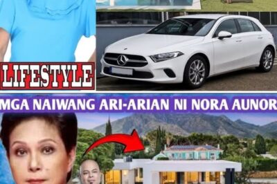 UNBELIEVABLE! Nora Aunor’s Hidden Billions Finally Revealed After Her Passing – Even Her Closest Family Had No Idea How Massive Her Secret Fortune Was! (NG)