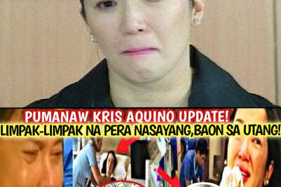 Pumanaw? Kris Aquino Update Shocks Fans – Ex-Boyfriend Breaks Down Upon Learning Her Financial Burden (NG)