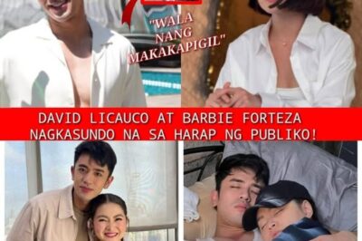 SHOCK RECONCILIATION: David Licauco and Barbie Forteza in Tearful Public Make-Up After Explosive Relationship Rift!
