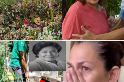 LOTLOT DE LEON, LUBOS ANG PAGKABIGLA SA PAGKAWALA NI NORA AUNOR — ISANG MISTERYOSONG GAWI SA BUROL ANG IKINABAHALA NG PAMILYA