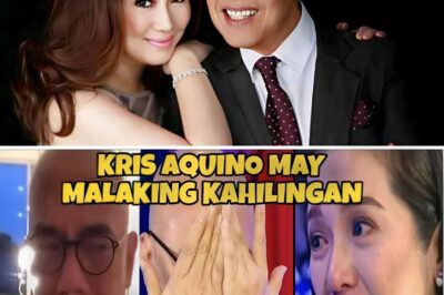 OMG! BOY ABUNDA NAPAIYAK SA HINANAKIT NI KRIS AQUINO — MAY MALALIM NA KAHILINGAN? MGA DETALYE, IKINAGULAT NG LAHAT!