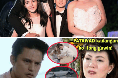 A Father’s Heartbreak: The Pain Behind Zoren Legaspi’s Smile