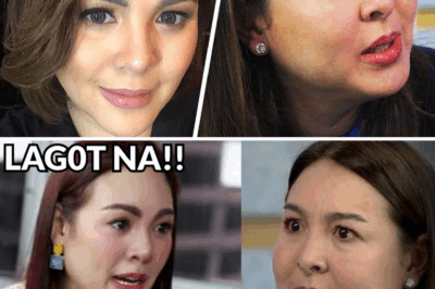 Barretto Feud Reignites: Claudine’s Revelation Shakes the Family — and One Hidden Detail Changes Everything